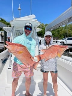 Black Grouper Fishing in Islamorada, Florida