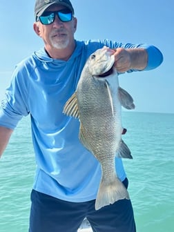 Fishing in Naples, Florida