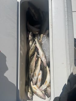 Fishing in Oak Harbor, Ohio