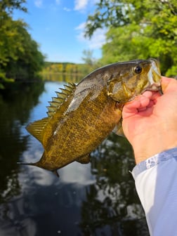 Fishing in Brainerd, Minnesota