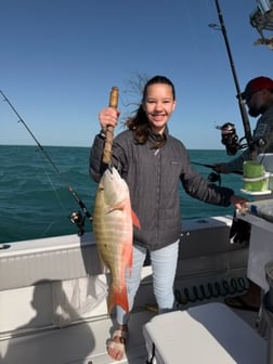 Fishing in Marathon, Florida