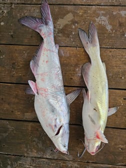 Fishing in Kingston, Oklahoma