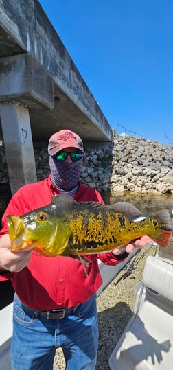 Fishing in Delray Beach, Florida