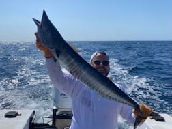 Fishing in Pompano Beach, Florida