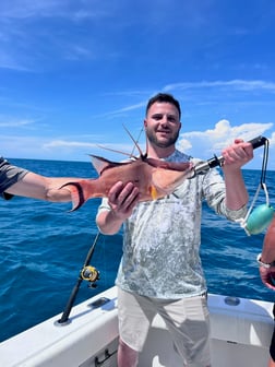 Fishing in Clearwater, Florida