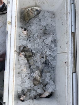 Fishing in Rockport, Texas