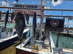 Fishing in Islamorada, Florida