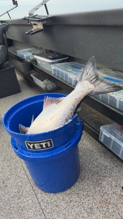 Fishing in Montesano, Washington