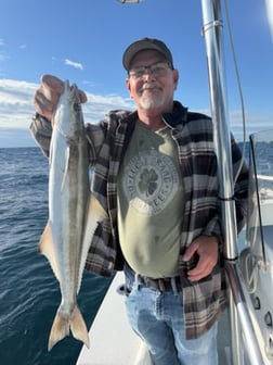 Fishing in Miami, Florida