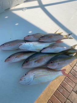 Fishing in Key West, Florida