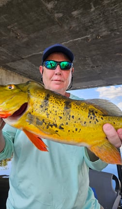 Fishing in Fort Lauderdale, Florida