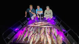 Fishing in Springfield, Missouri