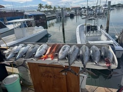 Fishing in Key West, Florida