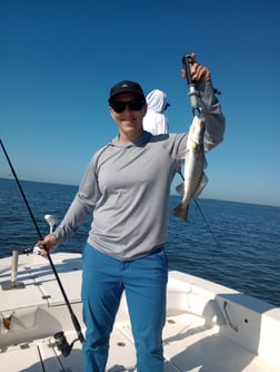 Fishing in Port Charlotte, Florida