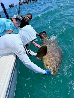 Fishing in Cape Coral, Florida