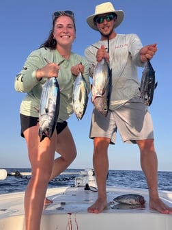 Fishing in Key Largo, Florida