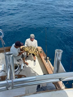 Fishing in Islamorada, Florida