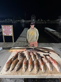 Fishing in Lafitte, Louisiana