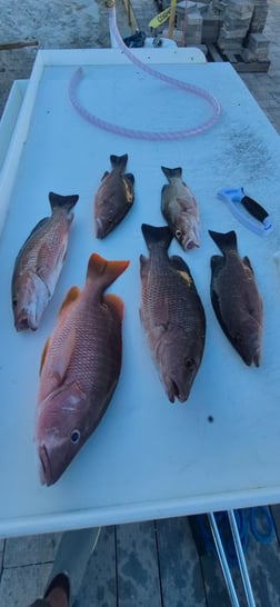 Fishing in Vero Beach, Florida