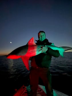 Fishing in Tampa, Florida