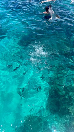 Fishing in Nassau, The Bahamas