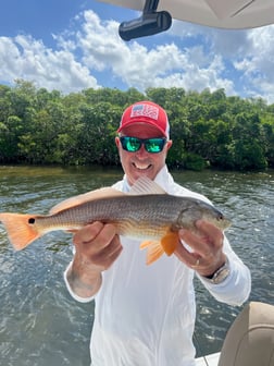 Fishing in Tarpon Springs, Florida