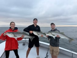 Fishing in Dennis, Massachusetts