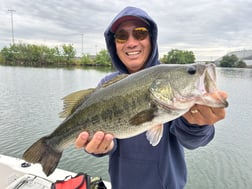 Fishing in Stockton, California