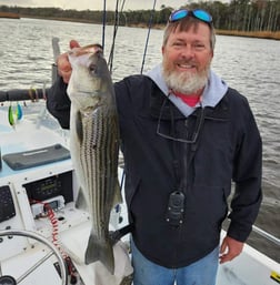 Speckled Trout / Spotted Seatrout Fishing in Trails End Road, Wilmington, N, North Carolina