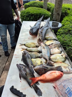 Fishing in St. Marys, Georgia