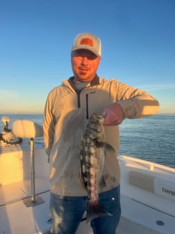 Fishing in Long Beach, California