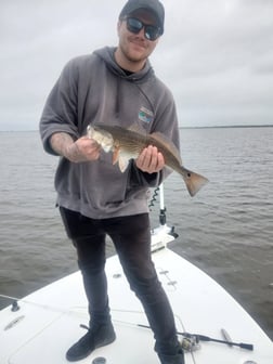 Fishing in Lafitte, Louisiana