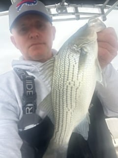 Fishing in Denver, North Carolina