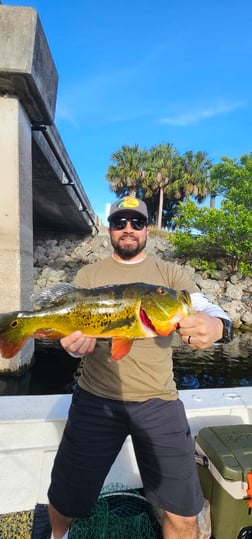 Fishing in Delray Beach, Florida