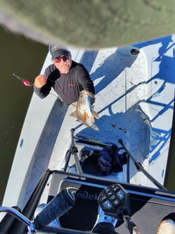 Fishing in Panama City Beach, Florida