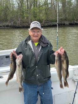 Fishing in Indianapolis, Indiana