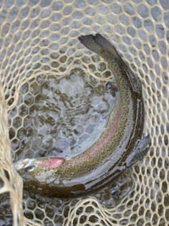 Fishing in Broken Bow, Oklahoma