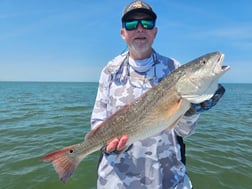 Fishing in Yankeetown, Florida