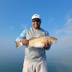 Redfish, Speckled Trout / Spotted Seatrout Fishing in New Orleans, Louisiana