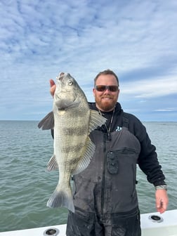 Fishing in Beaufort, North Carolina