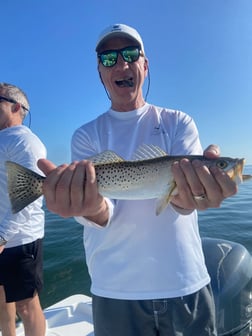 Fishing in Islamorada, Florida