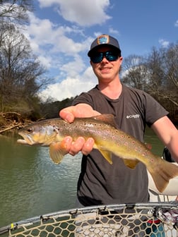 Fishing in Roswell, Georgia