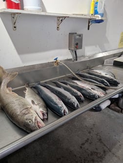 Fishing in New Buffalo, Michigan