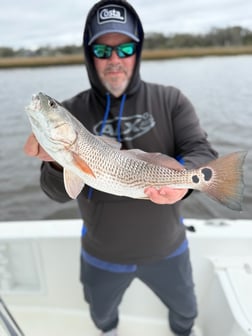 Fishing in Jacksonville, Florida