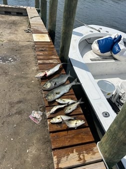 Fishing in Rodanthe, North Carolina