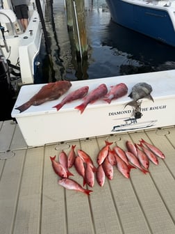 Fishing in Panama City Beach, Florida