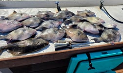 Fishing in Stone Harbor, New Jersey