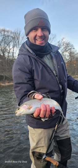 Fishing in Broken Bow, Oklahoma