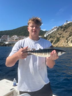 Fishing in Long Beach, California