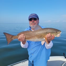 Redfish, Speckled Trout / Spotted Seatrout Fishing in New Orleans, Louisiana
